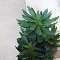 Leaf Large Artificial Tropical Yukka In Planter Botanik - thumbnail 2