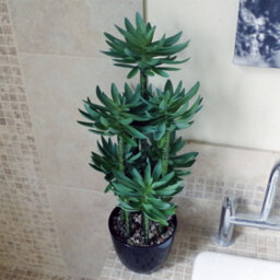 Leaf Large Artificial Tropical Yukka In Planter Botanik - thumbnail 4