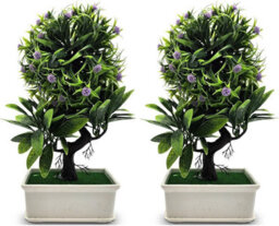 2Pcs Artificial Bonsai Tree Fake Plants  Japanese Bonsai Decoration Artificial Plant Potted Faux Pine Plants For Indoor Decorative - thumbnail 9