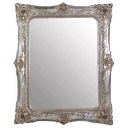 Orsina Neoclassical Champagne Baroque Style Wall Mirror, Timeless Hallway Mirror, Elegant Large Modern Mirror - thumbnail 1