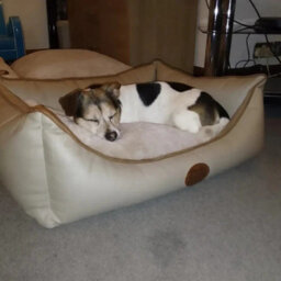 Snug & Cosy Pets Snug And Cosy Tuscany Natural Faux Leather Rectangle Dog Bed Xlarge - thumbnail 2
