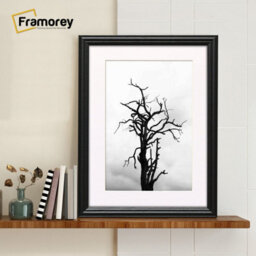 Frame Black Picture Frame  Lw Style Wall Art Frame  Modern Photo Frames With White Mount - thumbnail 4