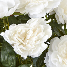 Wyld Haus Artificial Large White Peony Plant In White Ceramic Pot By - thumbnail 2