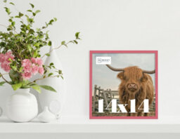 14X14 Pink Picture Frame (35.6 X 35.6Cm) Poster, Photo, Artwork, Gallery Wall Or Print - thumbnail 2