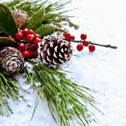 Darphe Set Of 30 Pine Cone Ornaments For Christmas Tree Decoration - thumbnail 6