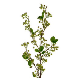 Hill Interiors Mossberry Large Branch Artificial Flower - Plastic - L25 X W25 X H118 Cm - Green - thumbnail 2