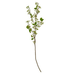 Hill Interiors Mossberry Large Branch Artificial Flower - Plastic - L25 X W25 X H118 Cm - Green