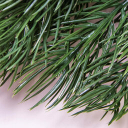 Christmas Tree World The 50Cm Vivente Fir Wreath - Green - thumbnail 4