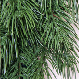 Christmas Tree World The 50Cm Vivente Fir Wreath - Green - thumbnail 3