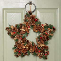 Samuel Alexander 45Cm Winter Spice Star Hanging Christmas Wreath With Pine Cones Red Berries & Dried Fruit - thumbnail 1