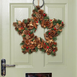 Samuel Alexander 45Cm Winter Spice Star Hanging Christmas Wreath With Pine Cones Red Berries & Dried Fruit - thumbnail 3