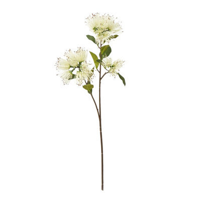 Hill Interiors Protea Nitida Stem Artificial Flower Spray Cream (One Size) - image 1
