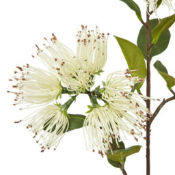 Hill Interiors Protea Nitida Stem Artificial Flower Spray Cream (One Size) - thumbnail 2