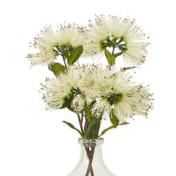 Hill Interiors Protea Nitida Stem Artificial Flower Spray Cream (One Size) - thumbnail 3