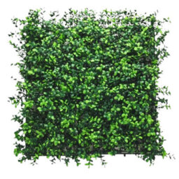 Artificial Plant Flower Living Wall Panels Realistic Boxwood-  Indoor / Outdoor - 50Cm X 50Cm - thumbnail 1