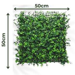 Artificial Plant Flower Living Wall Panels Realistic Boxwood-  Indoor / Outdoor - 50Cm X 50Cm - thumbnail 2