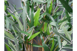 Annibells Artificial Potted Bamboo Tree (1090) - thumbnail 2