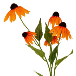 Hill Interiors Echinacea Artificial Flower Spray Orange (One Size) - thumbnail 2