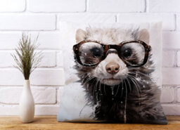 Warren Reed Designer Splashart Ferret Cushions 45Cm X 45Cm - thumbnail 2