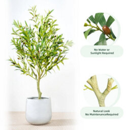 Artificial Olive Tree W/plastic Planter And Artificial Moss For House Office 100 Cm - thumbnail 3