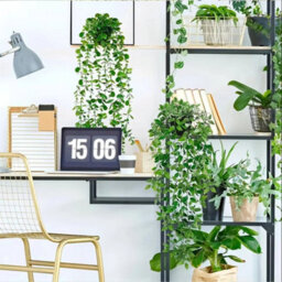 Hanging Plants Artificial 4X In Pots Indoor Fake Trailing Plants Home Office Uk - thumbnail 5