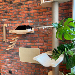 Cat Tree Tutumi 332526 Beige 10X0,9X40Cm - thumbnail 8