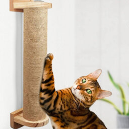 Cat Tree Tutumi 332526 Beige 10X0,9X40Cm - thumbnail 3