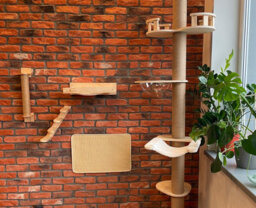 Cat Tree Tutumi 332526 Beige 10X0,9X40Cm - thumbnail 7