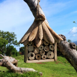 Serenityy Handmade Driftwood Bee & Insect Box, Recycled Wood Nest Box H22 X W20 X D12 Cm - thumbnail 3