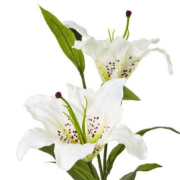 Hill Interiors Madonna Lily Artificial Flower Spray White (One Size) - thumbnail 2