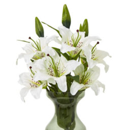 Hill Interiors Madonna Lily Artificial Flower Spray White (One Size) - thumbnail 3