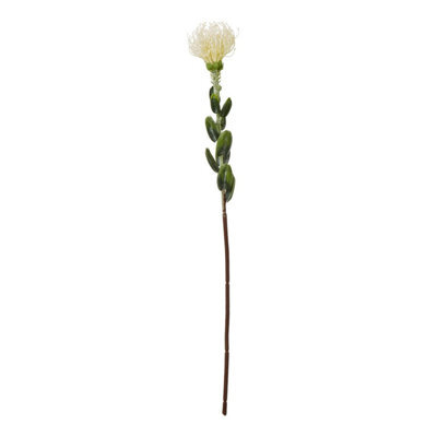 Hill Interiors Pincushion Protea Spray Artificial Flower Cream (One Size)