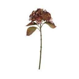 Wyld Haus Set Of 3 Artificial Flowers Mixed Autumn Browns Single Hydrangea Stems - thumbnail 1