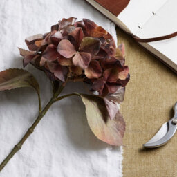 Wyld Haus Set Of 3 Artificial Flowers Mixed Autumn Browns Single Hydrangea Stems - thumbnail 5