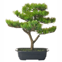 Beliani Artificial Plant Pine 37 Cm Green