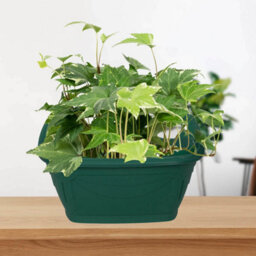 31Cm Wall Hanging Planter Plastic Venetian Flower Pot Forest Green Garden Basket - thumbnail 3