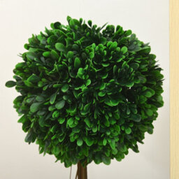 Artificial Boxwoods For Home And Office, Indoor And Outdoor Artificial Plants With Pot And Fake Moss, Dia 28 X 60 Cm - thumbnail 8
