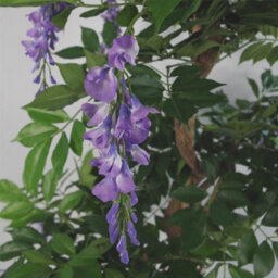 Leaf Artificial 110Cm Purple Wisteria Tree With Gold Metal Planter - thumbnail 6