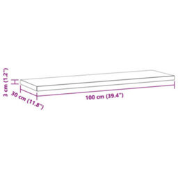 Berkfield Wall Shelves 2 Pcs 100X30X3 Cm Silver Stainless Steel - thumbnail 9