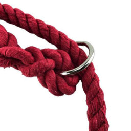 Ropeservices Uk 12mm Red Natural Cotton Ringed Rope Halter X 12 Foot - thumbnail 5