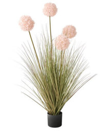 Wyld And Coco 120 Cm Artificial Potted Grass Plant With Pink Reed In Black Pot - Low Maintenance Indoor Décor - thumbnail 1
