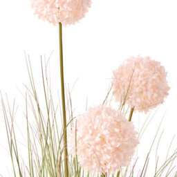 Wyld And Coco 120 Cm Artificial Potted Grass Plant With Pink Reed In Black Pot - Low Maintenance Indoor Décor - thumbnail 3