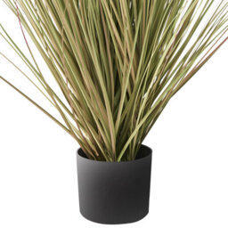 Wyld And Coco 120 Cm Artificial Potted Grass Plant With Pink Reed In Black Pot - Low Maintenance Indoor Décor - thumbnail 5