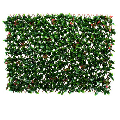 Greenbrokers Expanding Green & Red Foliage Willow Trellis (1M X 2) - image 1