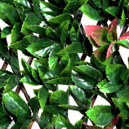 Greenbrokers Expanding Green & Red Foliage Willow Trellis (1M X 2) - thumbnail 4