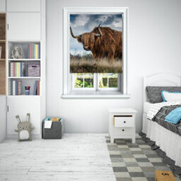 Lister Cartwright Photographic Blackout Roller Blinds For Bedroom Windows - (60 X 140 Cm) - Highland Cow - thumbnail 1