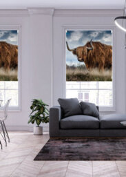 Lister Cartwright Photographic Blackout Roller Blinds For Bedroom Windows - (60 X 140 Cm) - Highland Cow - thumbnail 2