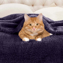 Ameha Fleece Plain Blanket, Lightweight & Reversible Throw For Travel, Bed & Sofa Blanket, Purple Single 130X150Cm - thumbnail 4