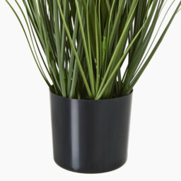 Wyld Haus 90Cm White Agapanthus Artificial Flower (Pot Not Included) - thumbnail 5