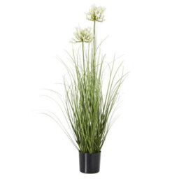 Wyld Haus 90Cm White Agapanthus Artificial Flower (Pot Not Included) - thumbnail 2